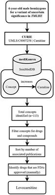 The precision medicine process for treating rare disease using the artificial intelligence tool mediKanren